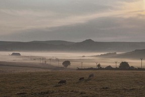 _DSC1041 copie.jpg