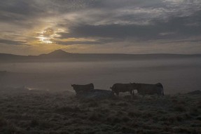 _DSC1095 copie.jpg