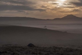 _DSC1099 copie.jpg