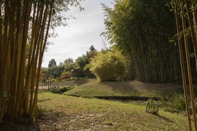 DSC_5762 t.jpg