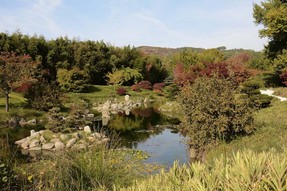 DSC_5771 t.jpg