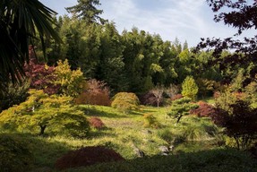 DSC_5773 jardin japonais.jpg