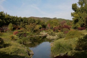DSC_5775 t.jpg
