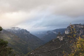 _DSC2739.jpg