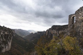 _DSC2757.jpg