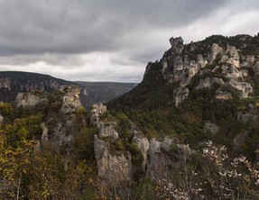 _DSC2795.jpg