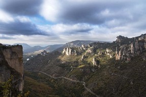 _DSC2824.jpg