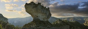 gorges tarn (1).jpg