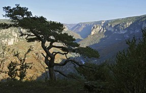 gorges tarn (4).jpg