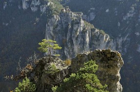 gorges tarn (5).jpg