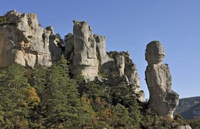 gorges tarn (9).jpg