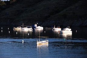 DSC_3781 copie.jpg
