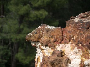 DSC_5747 copie.jpg