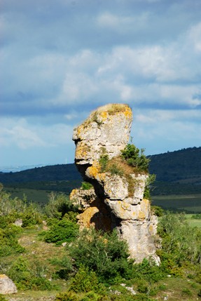 DSC_6831 copie.jpg