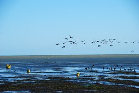 DSC_8751 copie.jpg
