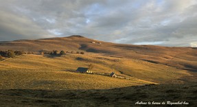 Méravilles 15 janvier18 (3).jpg