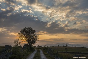 Méravilles 15 janvier18 (6).jpg
