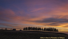 Méravilles 15 janvier18 (9).jpg