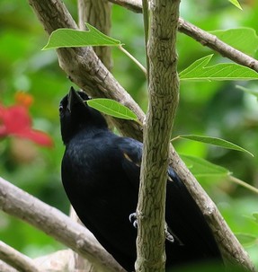 IMG_8007 2.jpg