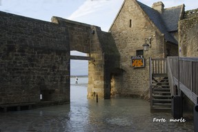 20-Forte  marée.jpg