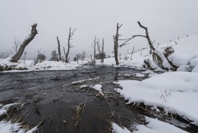 DSC_0313 pf.jpg