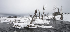 DSC_0317.jpg