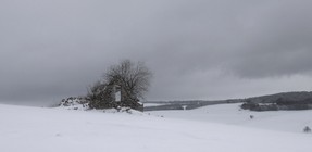 DSC_0351 pf.jpg