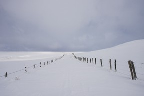 DSC_0382 pf.jpg
