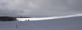 DSC_0399 pf.jpg