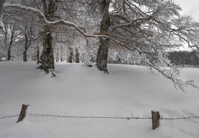DSC_0410 pf.jpg