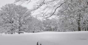 DSC_0429.jpg