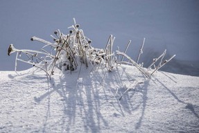 F Causse 18 fév 18 (18).jpg