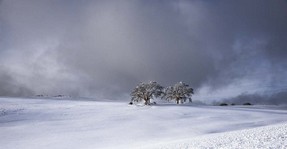 F Causse 18 fév 18 (19).jpg