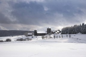 F Causse 18 fév 18 (3).jpg