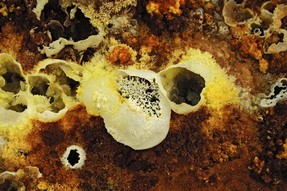 3 -Volcan du Dallol Est de l