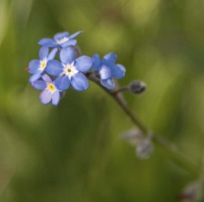 _DSC5821 0.jpg