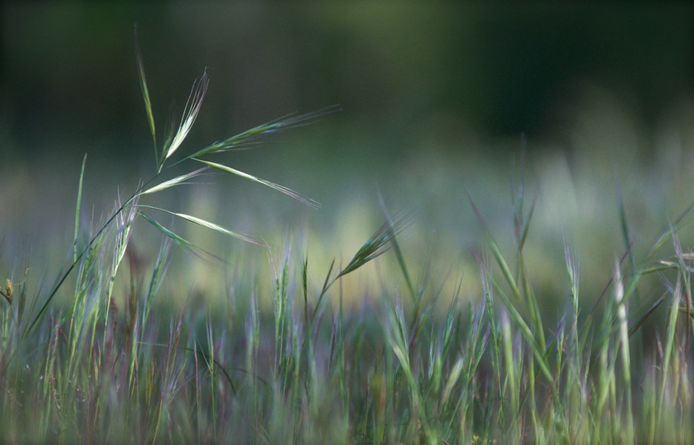 thumbnail__DSC6237 - copie.jpg