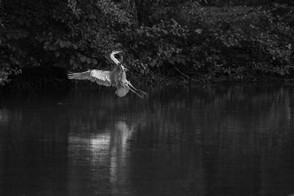 4ème Véronique Brugié.jpg