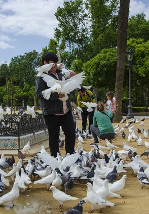 102-Séville Parque Maria Luisa 4386.jpg