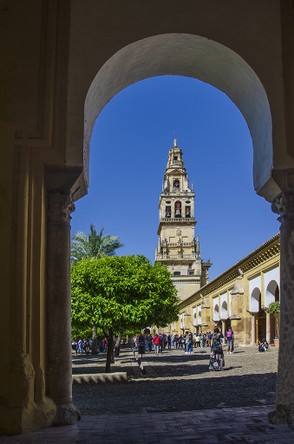 223-Cordou Mosq Cath 4868.jpg