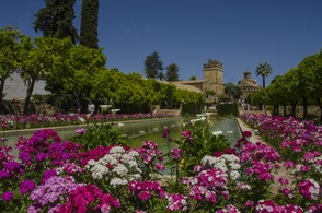 260-Cordou Alcazar 4966.jpg