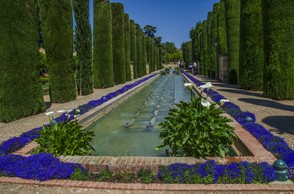 263-Cordou Alcazar 4973.jpg