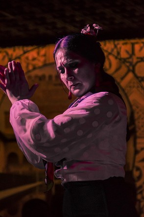 275-Grenade Flamenco 5044.jpg