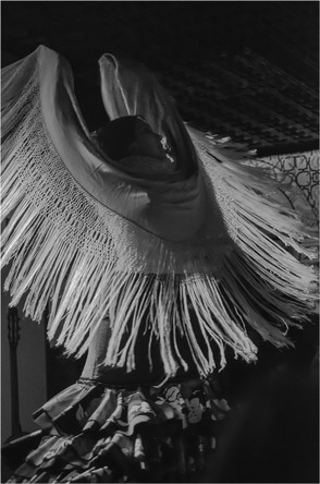 281-Grenade Flamenco NB 5080.jpg