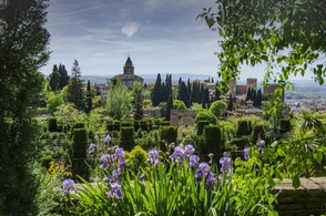 330-Grenade Alhambra 5240.jpg