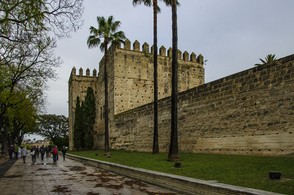 79-Jerez 4292.jpg