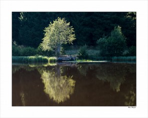 Brugié Véronique (3).jpg