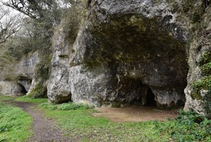 B12- Ginette_DSC0081 2.jpg