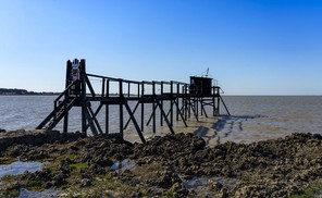 F7-Joëlle_DSC0437.jpg