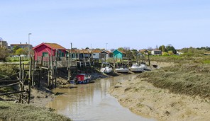 H1 - Alain - 32-Mornac-Alain CARLES.jpg
